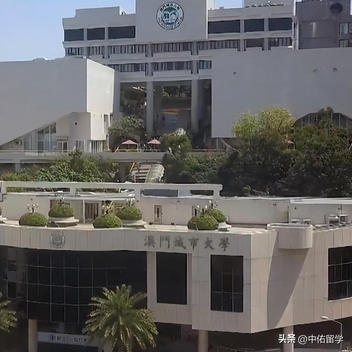 2024新澳門精準(zhǔn)免費(fèi)大全,專家評(píng)估解答解釋問題_8DM77.85