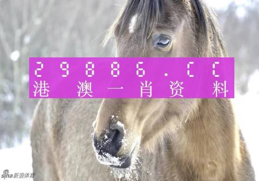 澳門今晚一肖一碼1009995,行業(yè)規(guī)范解析執(zhí)行_復制版86.773