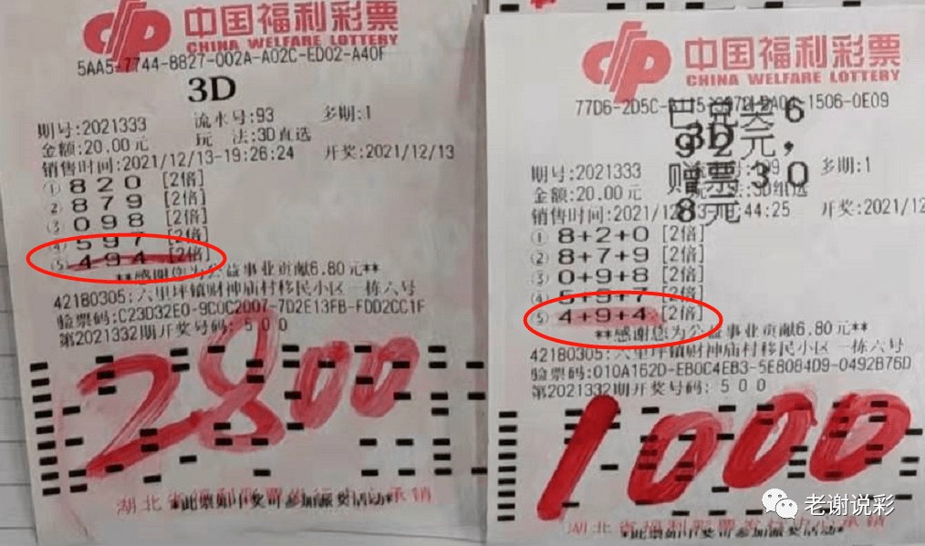 澳門彩票文化探索，魅力與機遇的天天開好彩之旅