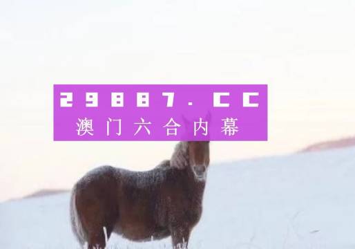 澳門精準2023一肖一碼,全方位操作計劃_SCO50.673程序版